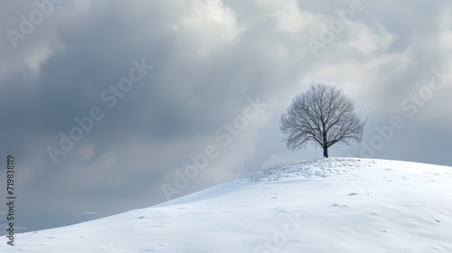 a single tree stood tall on the snow-covered hills © Media Srock