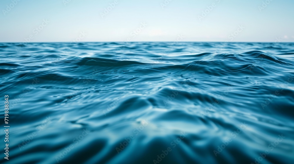 a sea wave comes a sea wave comes