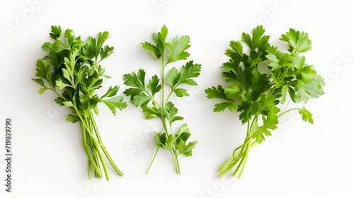 Mediterranean herbs and spices  set of fresh  healthy parsley leaves  twigs  and a small bunch isolated over a white background  cooking  food or diet and nutrition design elements   Generative AI