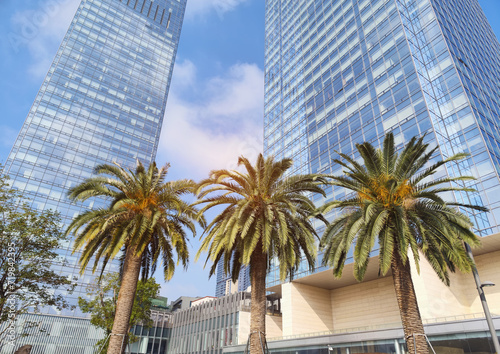 Highrise buildings on a blue sky with palm tree © xiaoliangge