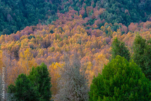 autumn in the mountains © Elva