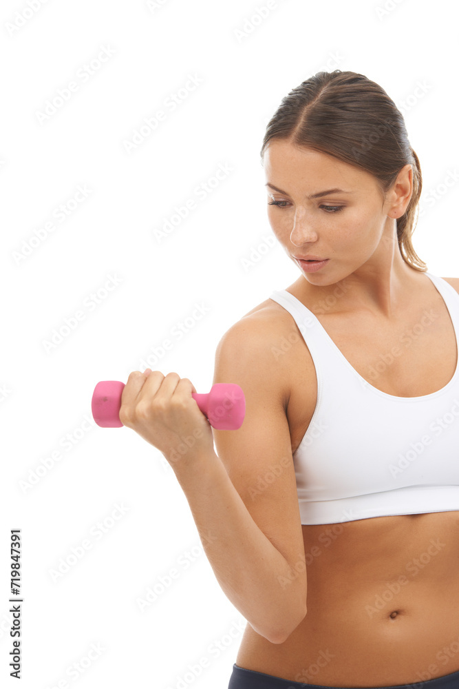 Studio, dumbbells and woman doing arm exercise, bodybuilder strength development or bicep workout. Weightlifting equipment, fitness and sports athlete training for muscle growth on white background Studio, dumbbells and woman doing arm exercise, bodybuilder strength development or bicep workout. Weightlifting equipment, fitness and sports athlete training for muscle growth on white background