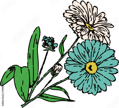 花（Flower）(eps)