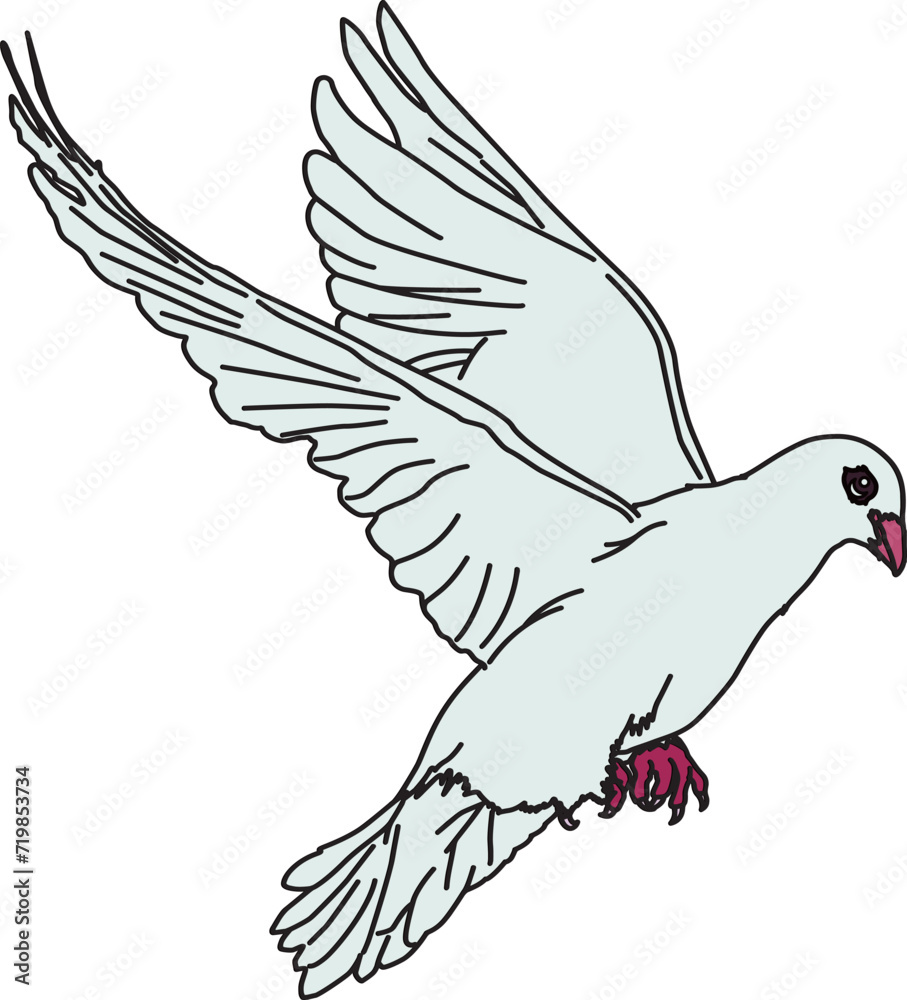 Obraz premium 鳩（pigeon）(eps)