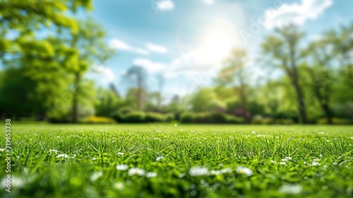 Beautiful blurred background image of spring nature with a neatly trimmed lawn surrounded by trees against a blue sky with clouds on a bright sunny day. copy space - generative ai © Nia™