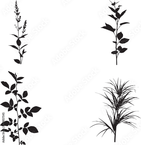 Set of Plants silhouette on white background