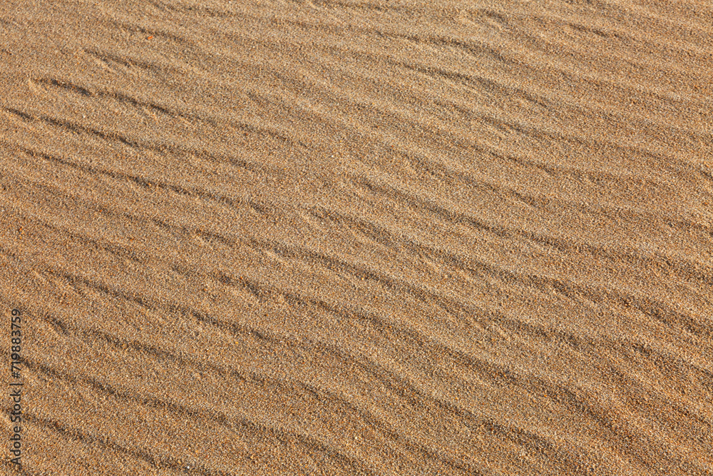 The wavy surface of a sand dune. Background. Space for text. The wavy surface of a sand dune. Background. Space for text.