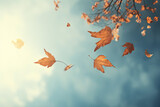 Fallen autumn leaves on blue sky background. Fall season concept