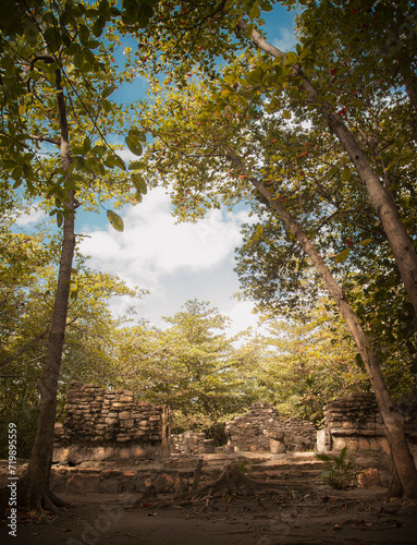 ruinas maya san miguelito  cancun mexico