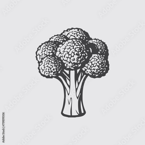 Cartoon Broccoli Black Line White Background Stock Vector kids Coloring Page Hand Drawing broccoli