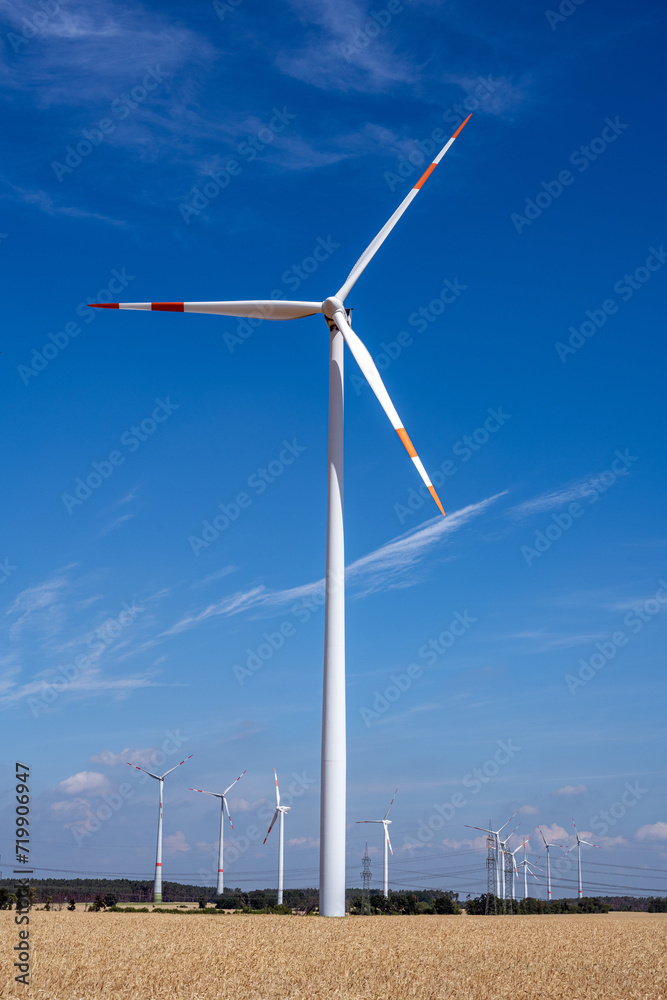 Fototapeta premium Wind turbines in cereal fields seen in Germany