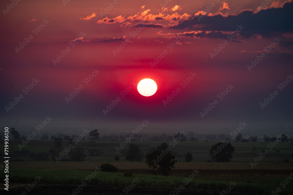 Beautiful sunset with bright red sun and silhouette of trees in front and red cloudy sky in background