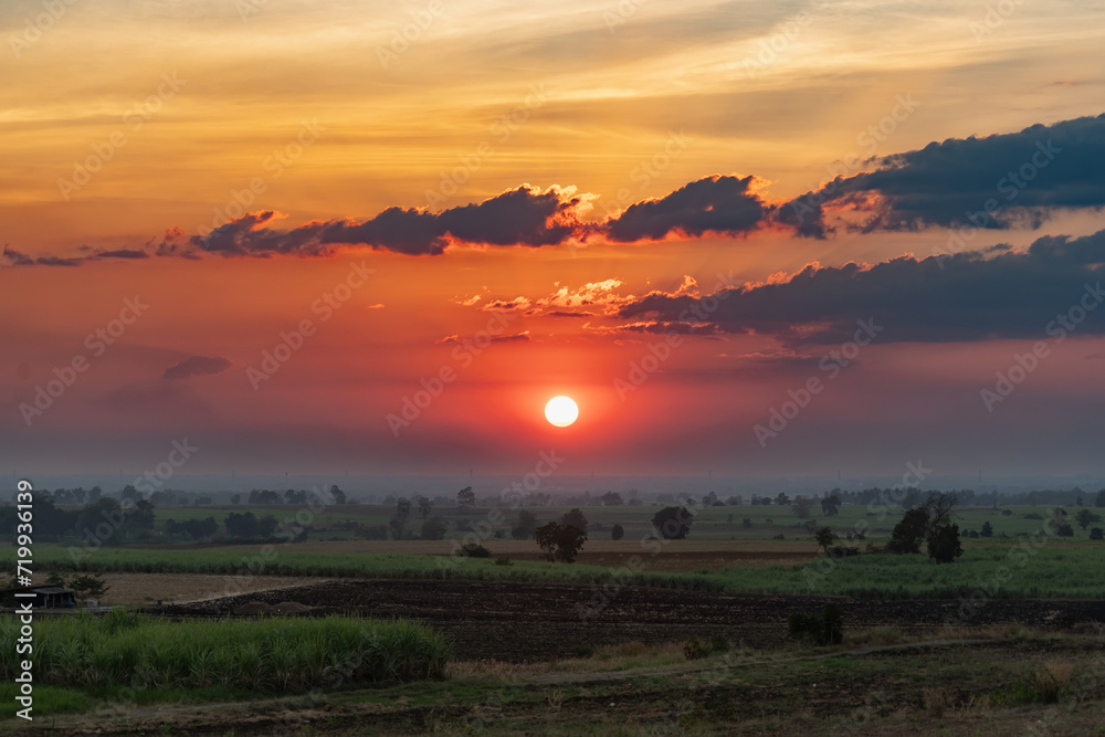 Beautiful sunset with bright red sun and silhouette of trees in front and red cloudy sky in background