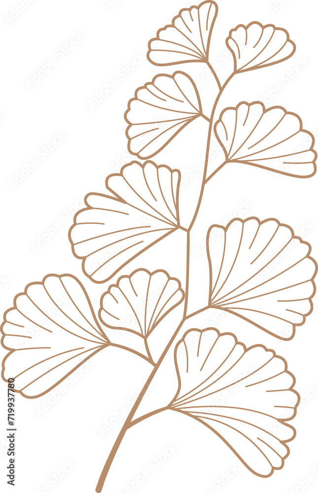  leaf Doodle cute for design elements.