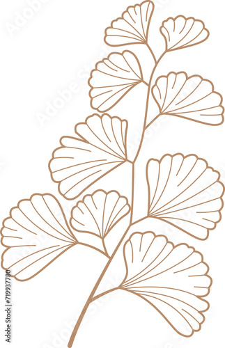  leaf Doodle cute for design elements.