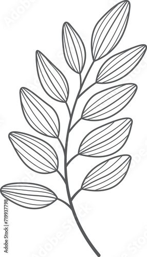  leaf Doodle cute for design elements. © Pattanan