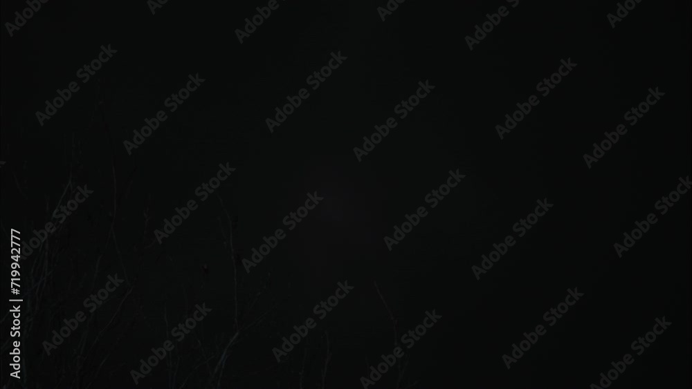 This stock video shows a dark night sky with the light of the moon. This video will decorate your projects related to nature, night, moon, Halloween.