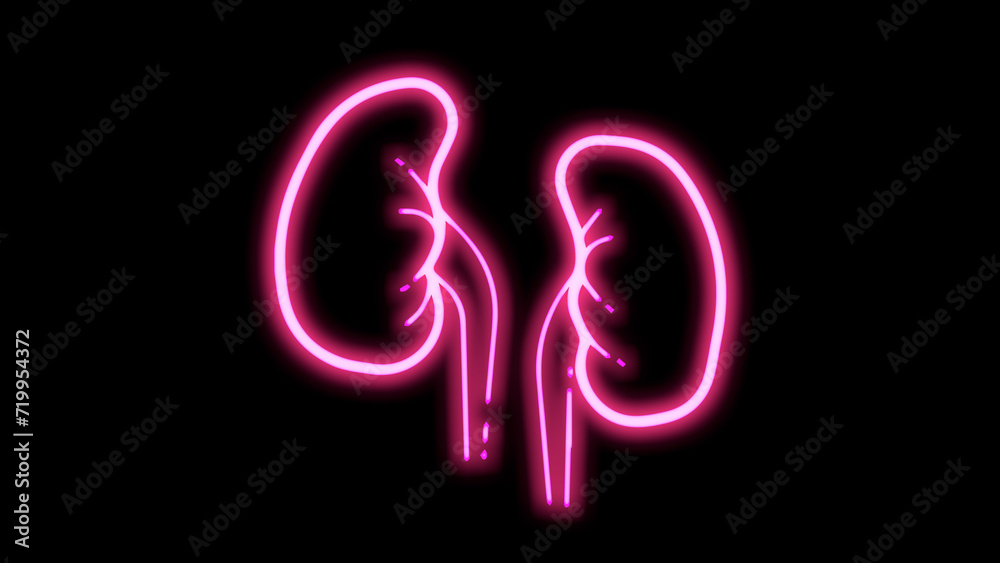 Neon kidney icon in a line style for humans. kidney-line symbol. Neon glowing kidney sign. Urinary system part symbol. kidney line icon. Elements of Medicine in neon icons.web design, mobile app Neon kidney icon in a line style for humans. kidney-line symbol. Neon glowing kidney sign. Urinary system part symbol. kidney line icon. Elements of Medicine in neon icons.web design, mobile app