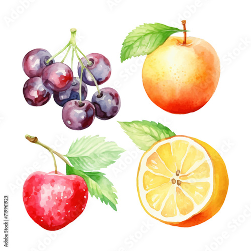 Fototapeta Naklejka Na Ścianę i Meble -  watercolor painting of summer fruits four collection