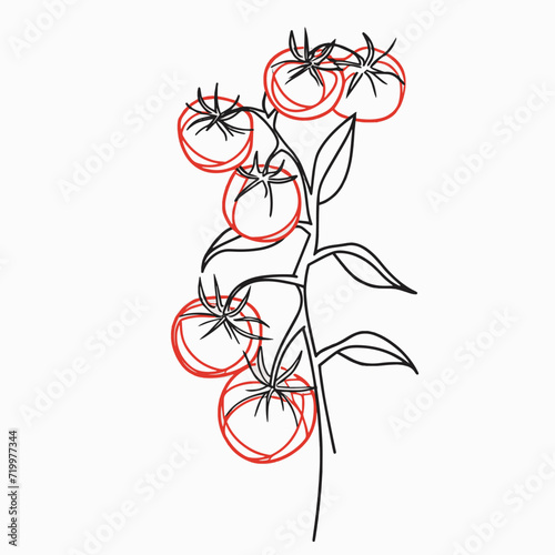Simple line drawing illustration of a vine of tomatoes on a tree branch