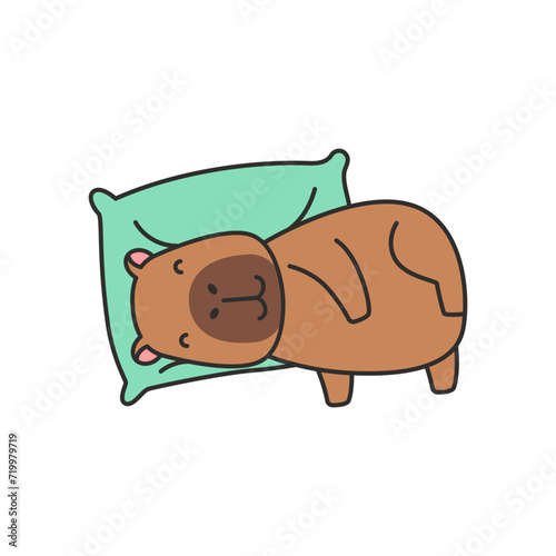 Cute capybara sleeping on pillow. Vector illustration in cartoon style.