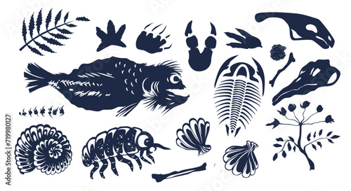 Prehistoric creature, bones, underwater animals and plants fossils silhouette