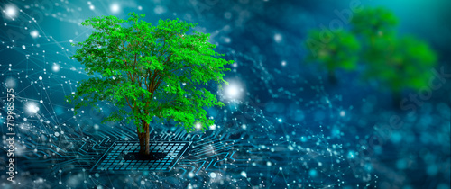 Tree with soil growing on  the converging point of computer circuit board. Blue light and wireframe network background. Green Computing, Green Technology, Green IT, csr, and IT ethics Concept.