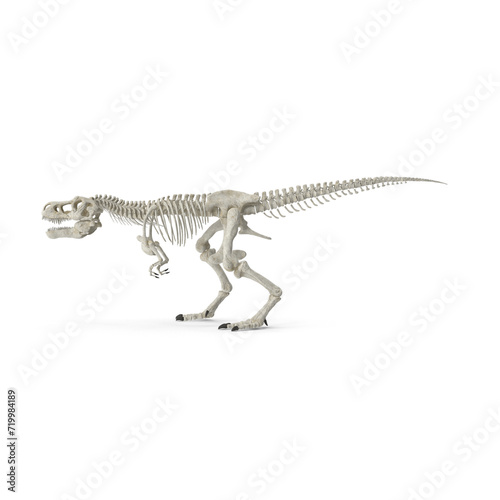 Tyrannosaurus Rex Skeleton PNG © PNG 