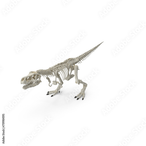 Tyrannosaurus Rex Skeleton PNG