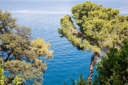 Portofino peninsula San Rocco to Batteria di Punta Chiappa Mount Natural Regional Park in italy