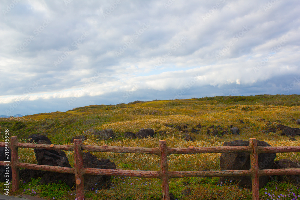 This is the autumn scenery of Seopjikoji.