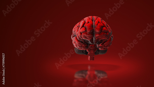 Human brain in 3D medical animation	 photo
