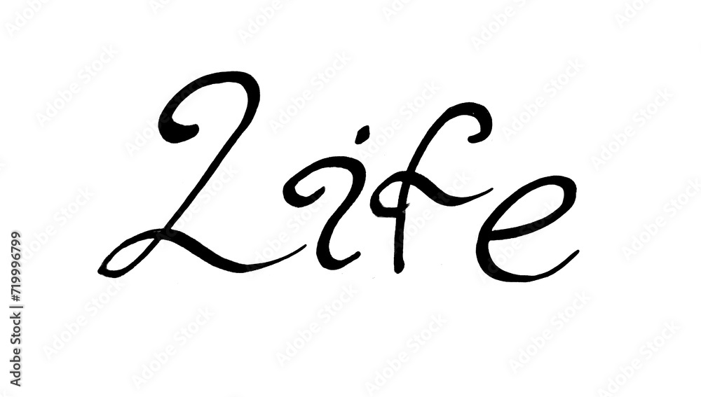 The word Life in black isolated on a white background. Calligraphic font. Long twisted serifs. Rounded letters. Lettering. The word Life in black isolated on a white background. Calligraphic font. Long twisted serifs. Rounded letters. Lettering.