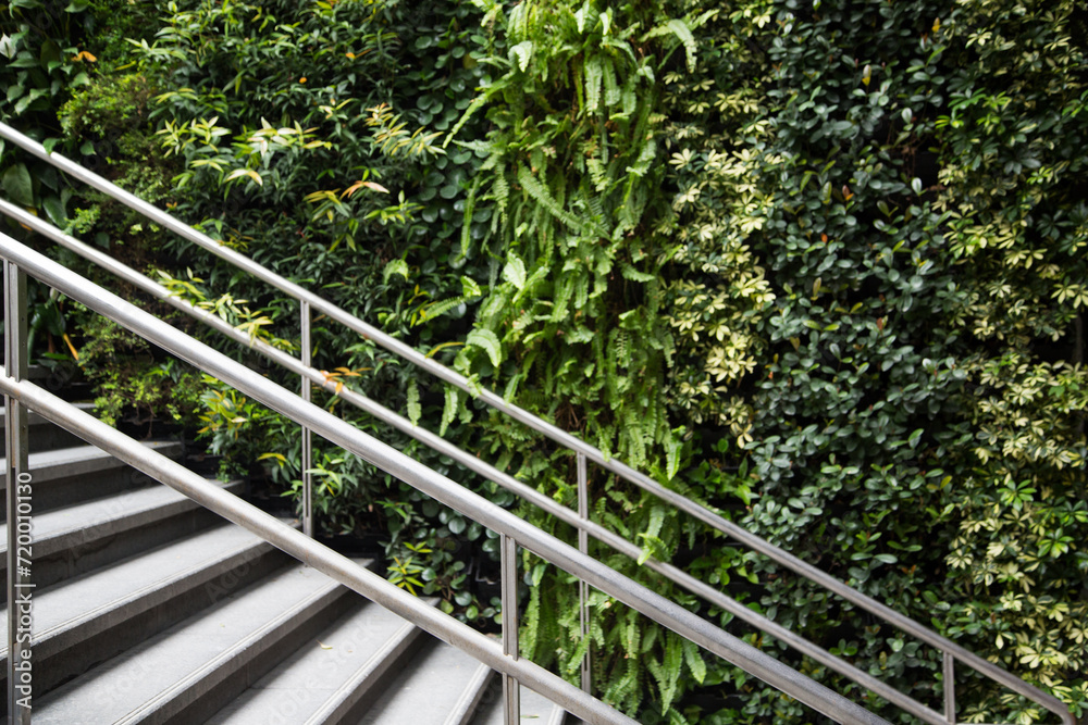 Green background wall with layers of green hues