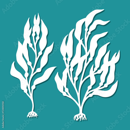 Set of macrocystis algae. Seaweed, underwater plant with long leaves. Genus of brown algae from the kelp family. Template for plotter laser cutting of paper, fretwork, wood carving, metal engraving.