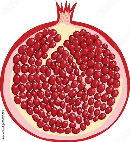 Half of a pomegranate isolated on a white background. Vector illustration.