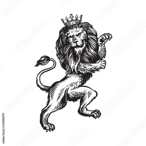 lion heraldic vintage hand drawing