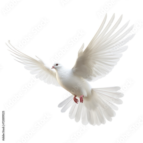  a flying white dove of peace  on transparency background PNG © Sim