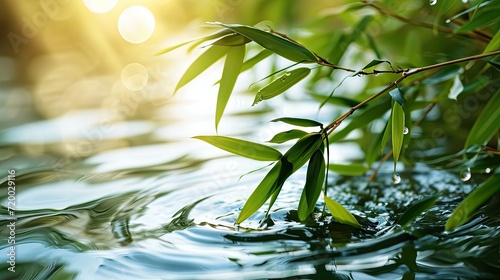 A branch with green fresh leaves hangs over the transparent clear water in the sun  creating an atmosphere of calm  freshness and relaxation. Banner with place for text