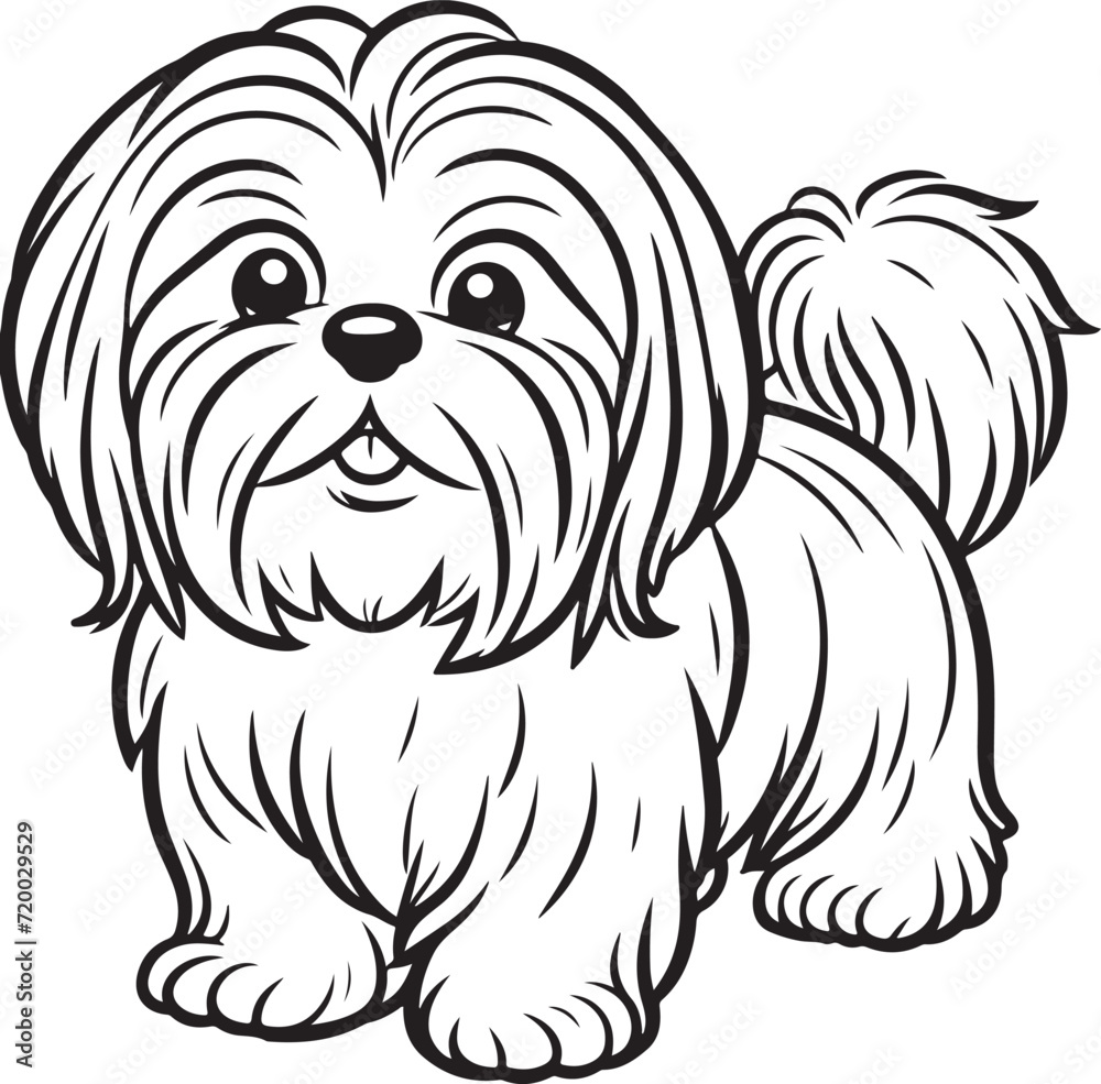 Shih Tzu dog pet cartoon outline, line art illustration transparent background Shih Tzu dog pet cartoon outline, line art illustration transparent background