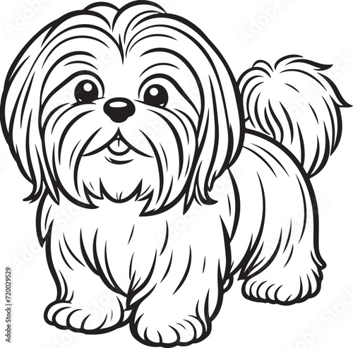 Shih Tzu dog pet cartoon outline, line art illustration transparent background