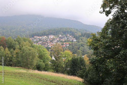 Blick auf Bodenmais im Bayerischen Wald 