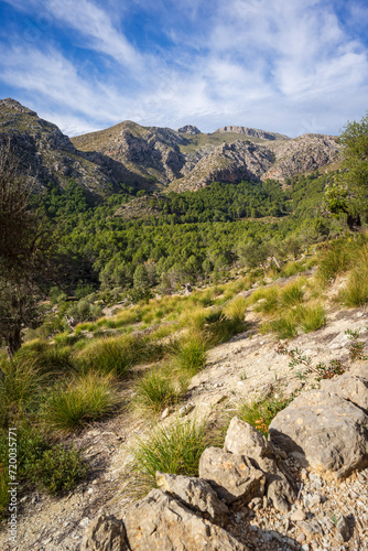 Galatzo rvalley and Mola de Esclop mountain, dry stone path, GR221, Calvia, Natural area of the Serra de Tramuntana., Majorca, Balearic Islands, Spain
