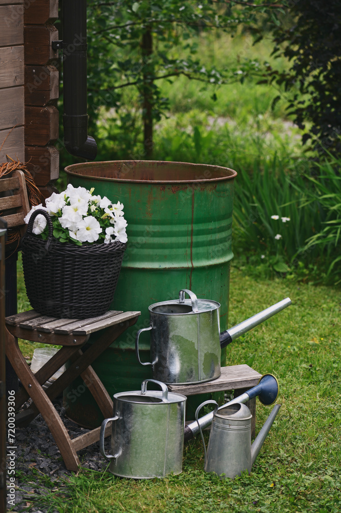 Obraz premium rain barrel in summer garden with watering cans and flowers in pot. Water save concept