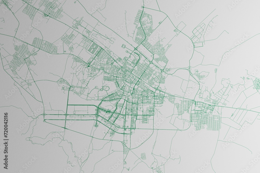 Map of the streets of Ashgabat (Turkmenistan) made with green lines on white paper. 3d render, illustration