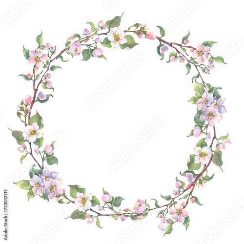 Watercolor wreath with apple tree branch and flowers  blooming tree on white background  isolated watercolor illustration. It s perfect for wedding invitations  mothers day and valentines card.