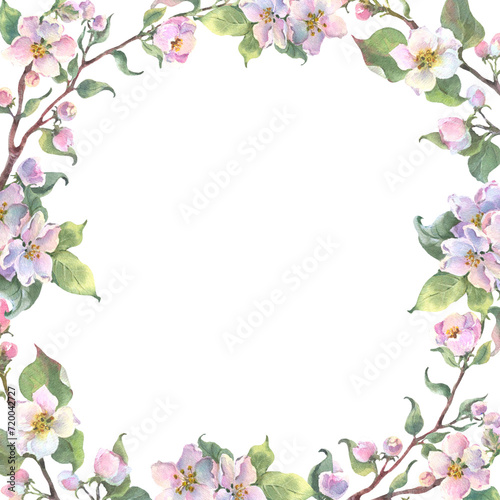 Watercolor square frame apple tree branch and flowers, blooming tree on white background, isolated watercolor illustration. It's perfect for wedding cards, mothers day and valentines card. © Brelena