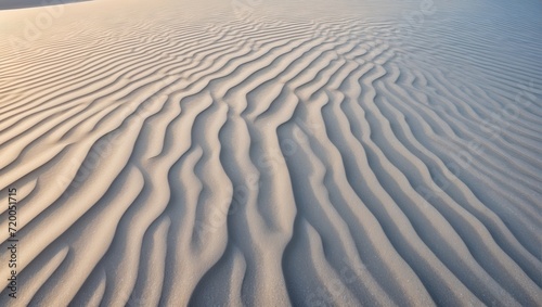 砂丘の風紋 photo