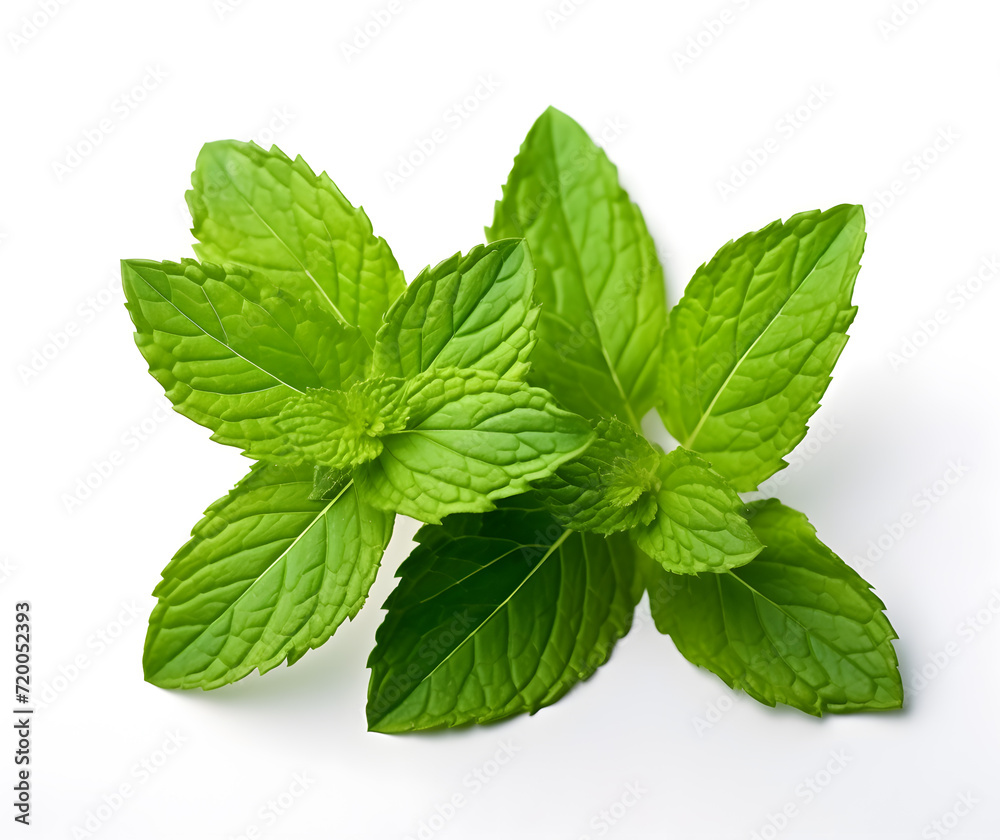 Fresh green mint leaves isolated on white background Fresh green mint leaves isolated on white background