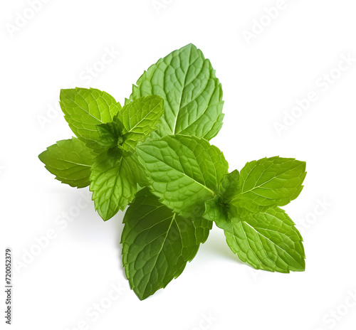 Fresh green mint leaves isolated on white background